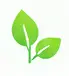 ISO 14001:2026 EMS
